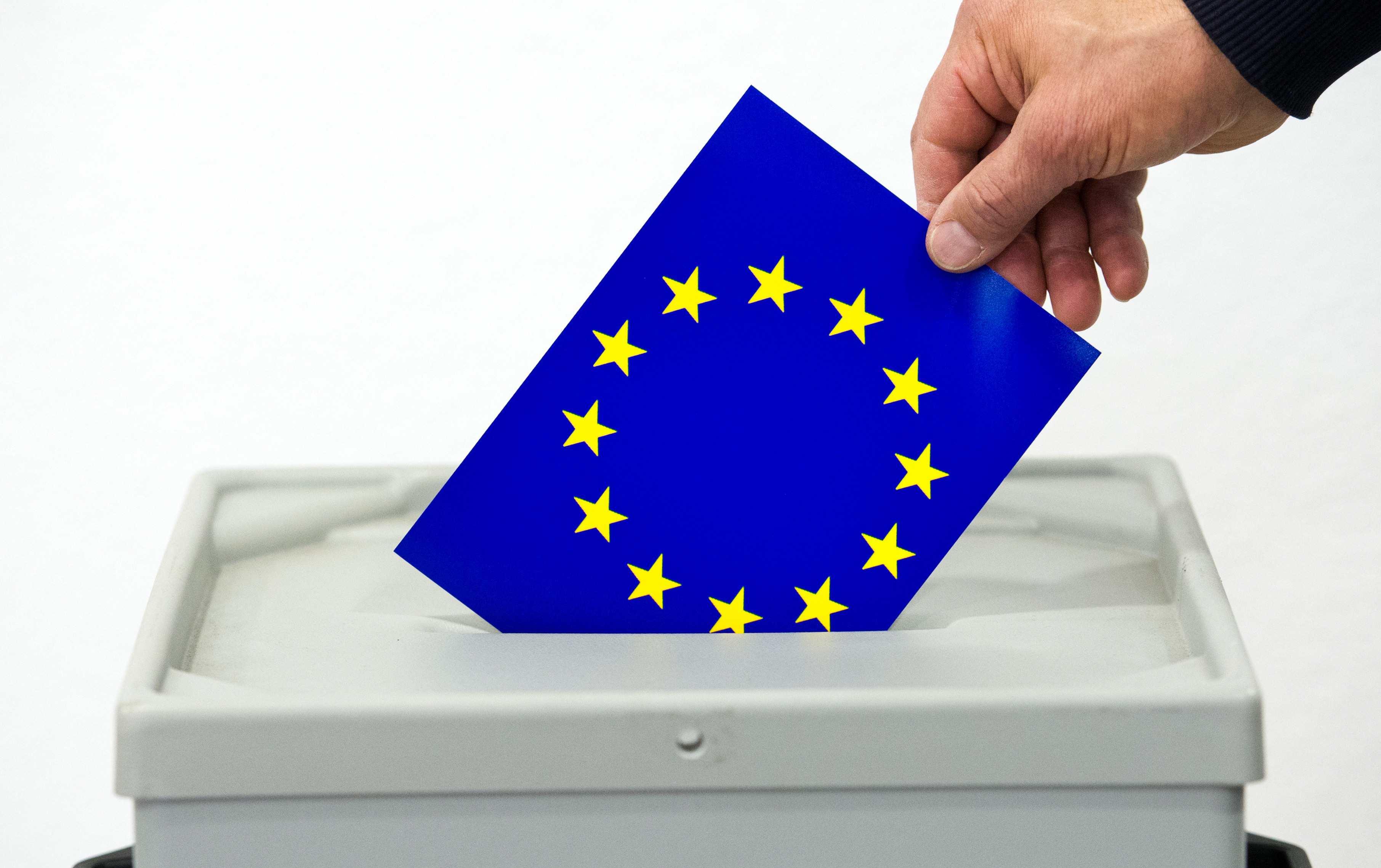 Elezioni europee 2024: tutte le informazioni