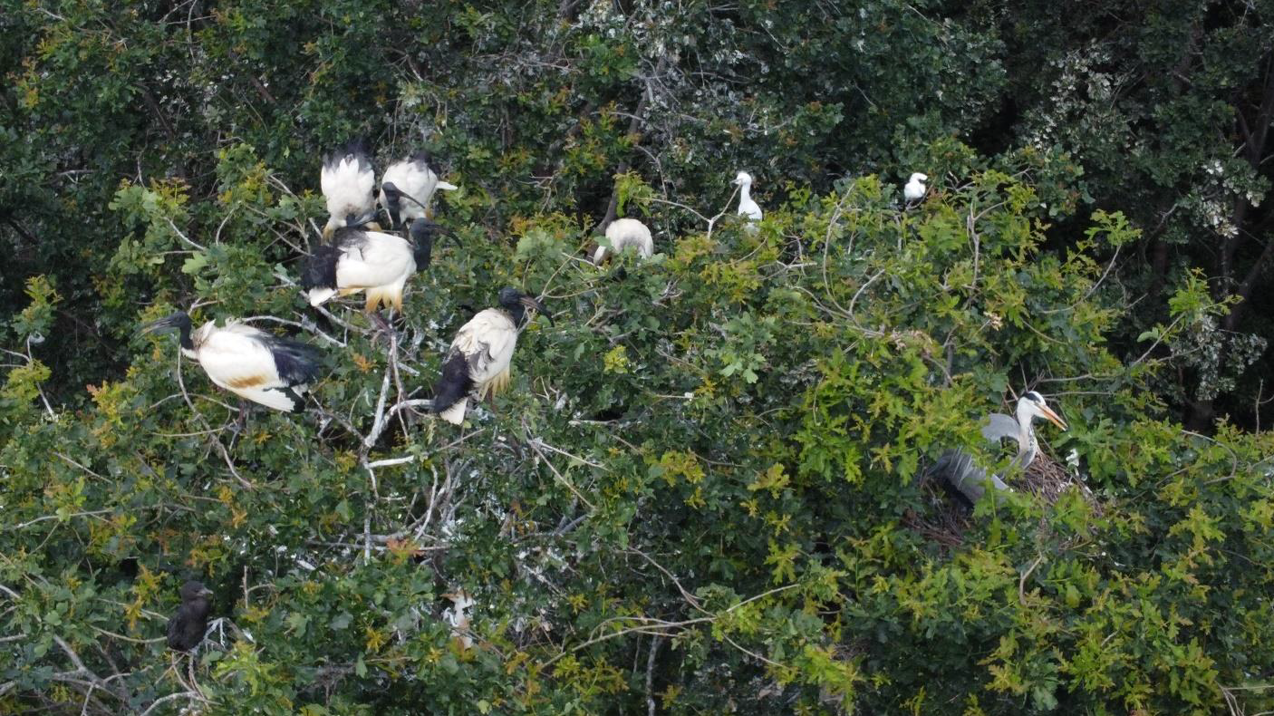 Natura Pievese: mese di settembre