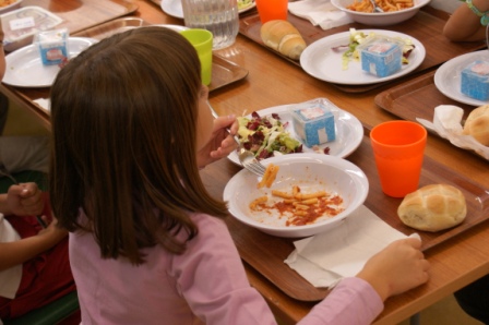 Servizio di refezione scolastica: da gennaio stop allo sportello Vivenda