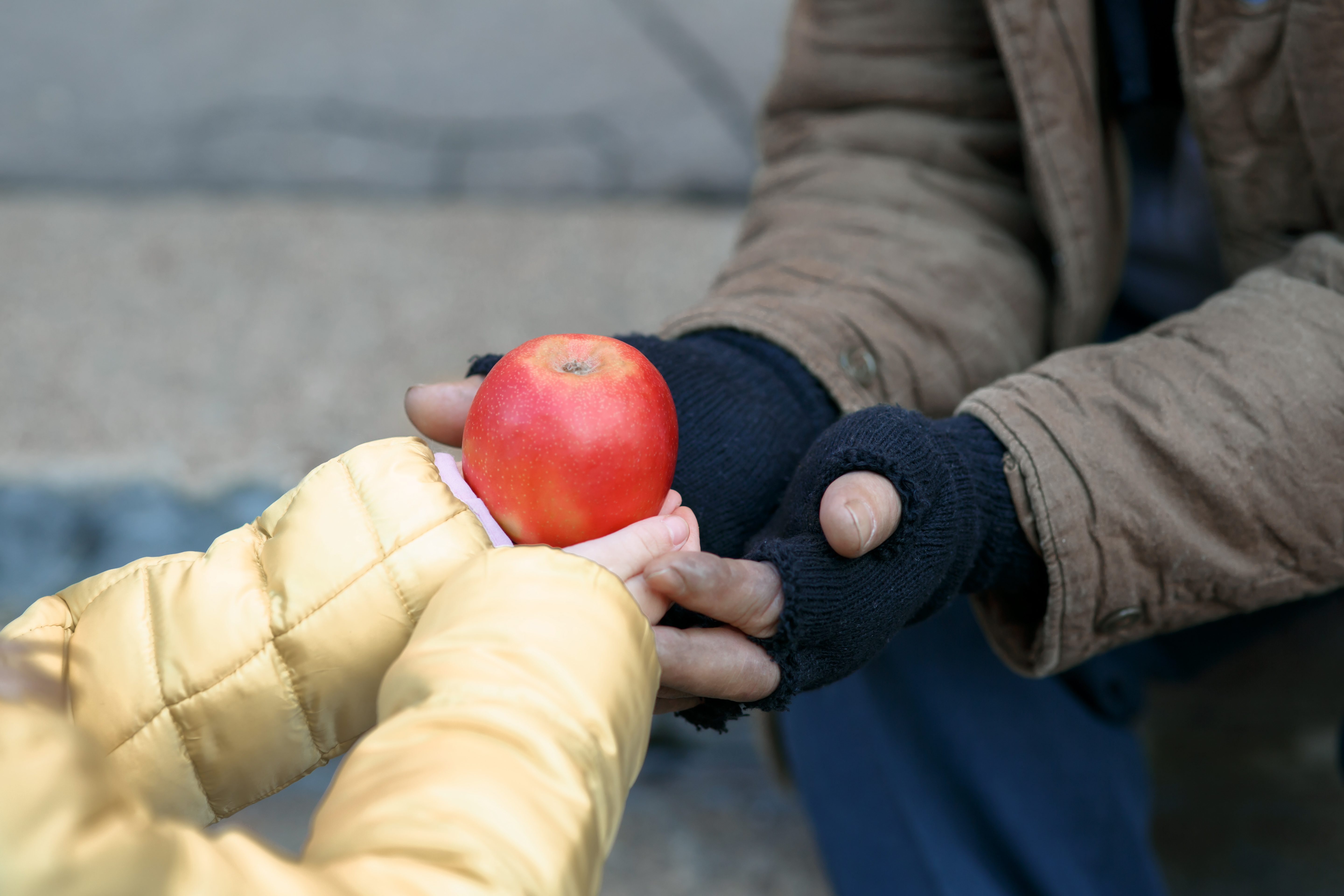 Welfare in rete contro la povertà